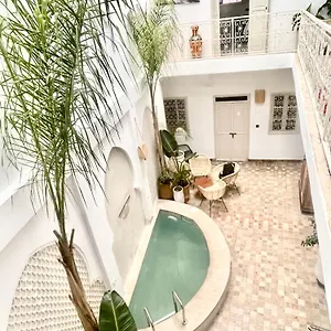Vines المغرب
